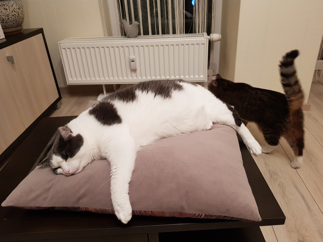 20190221-053932.jpg