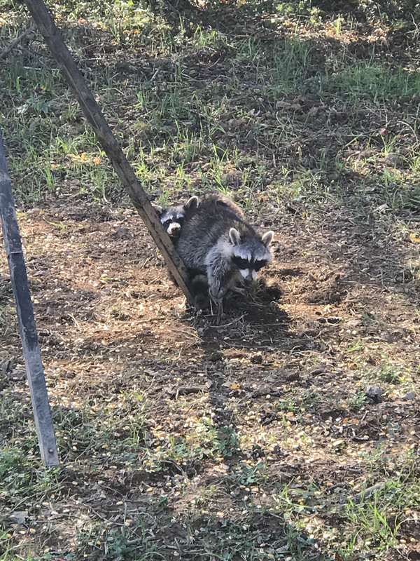 D92400A4-4283-4432-9787-00FB8EC5CFE1