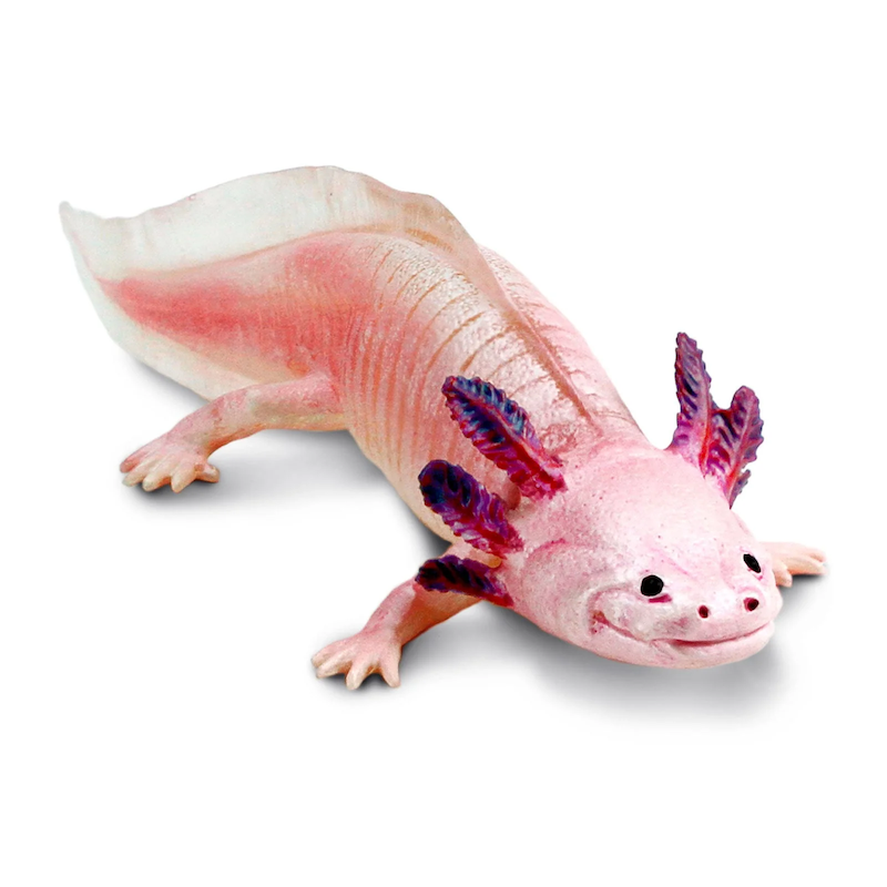 2023 Wildlife Figure of the Year, time for your choices! - Maximum of 5 Axolotl-toy-figure-584596-1600x1600-crop-center-jpg-copie