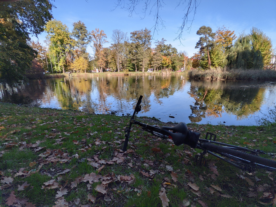 PXL_20211019_142119_P-Z-D4.1MrDrew_ZSL.xml