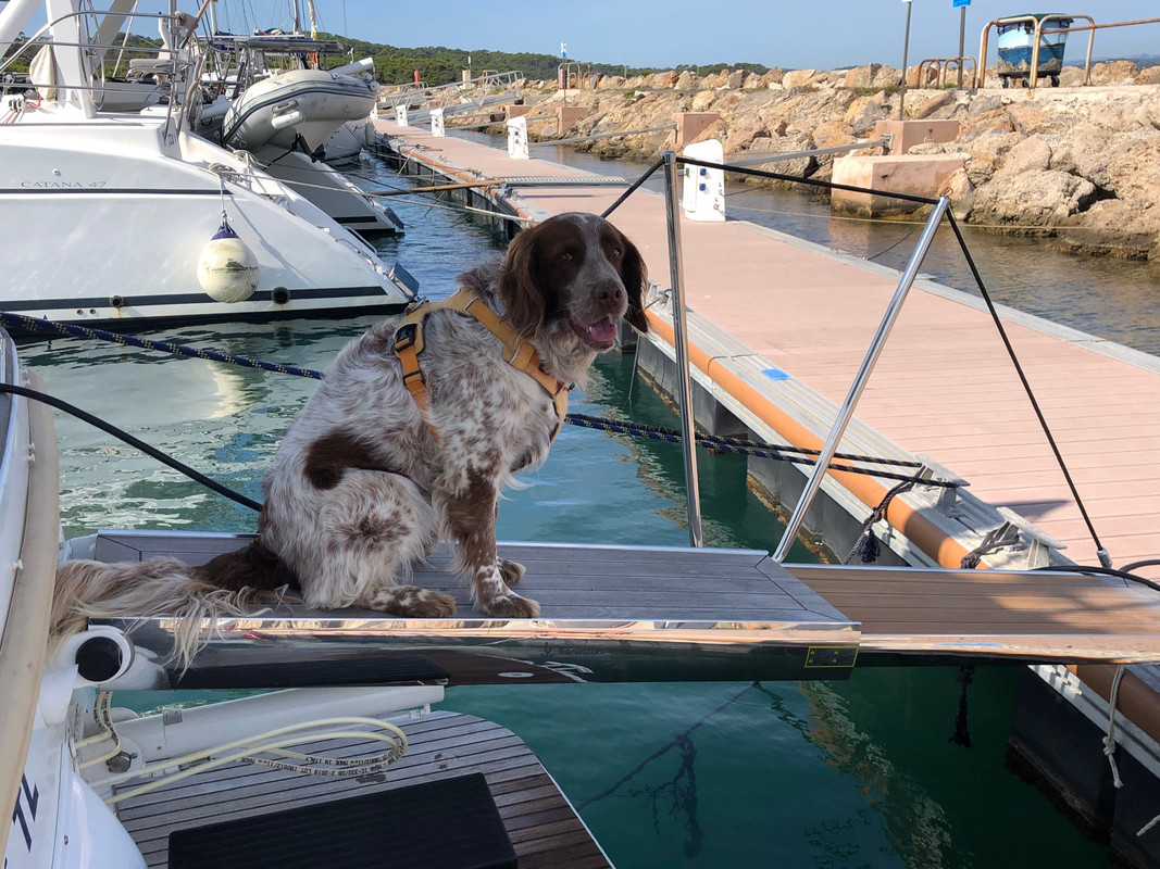 7BA8C442-C564-4E70-9A51-86F23B112D35