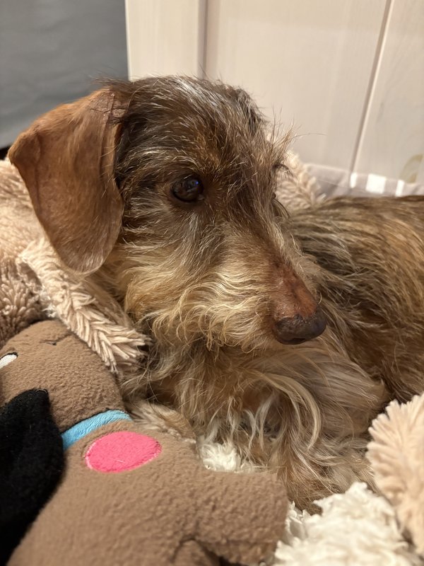 [Image: IMG-0680.jpg]