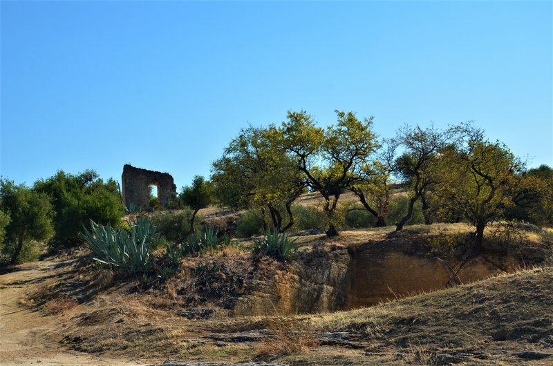 SEVILLA Y SUS PUEBLOS-2012/2021 - Blogs de España - EL COTO LAS CANTERAS-15-10-2021-OSUNA (39)