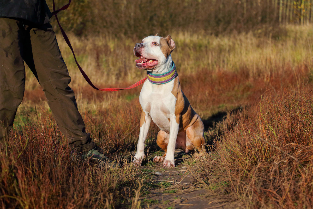 6BF07B5C-92B7-45D4-8FD6-021E9DC8799E