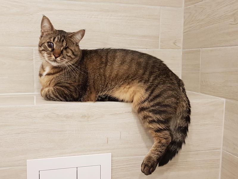 20190321-074434.jpg