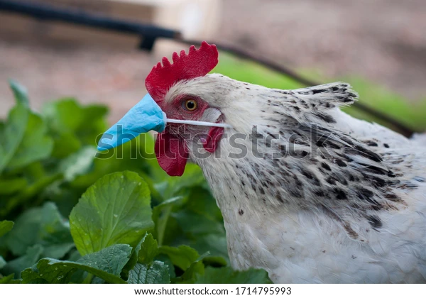 1C783E66-0897-4BCB-9980-77393EE2B44B