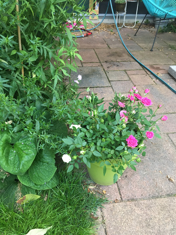 88F53743-54A9-4C63-A116-A03605BEDD0C