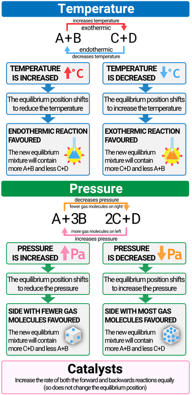 Factors Affecting Equilibrium