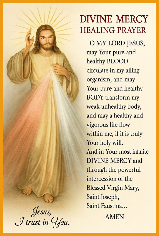 Novena 6