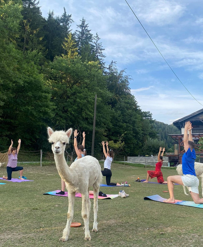 299559875_188727760186444_3254369120005015152_n