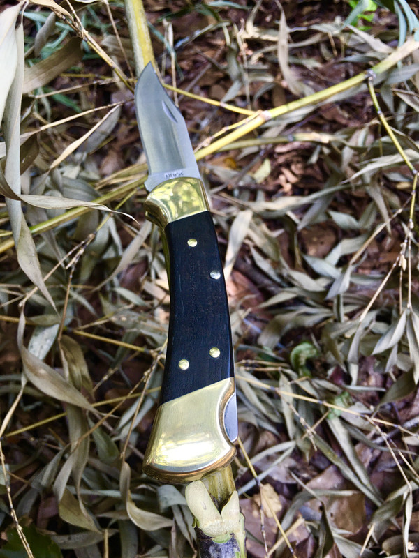 FAC8C931-D77D-4667-9898-2C151C06A69F