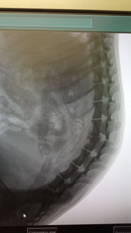 798A8C4E-262B-4A1B-A7DF-AEC2A60E6B4E