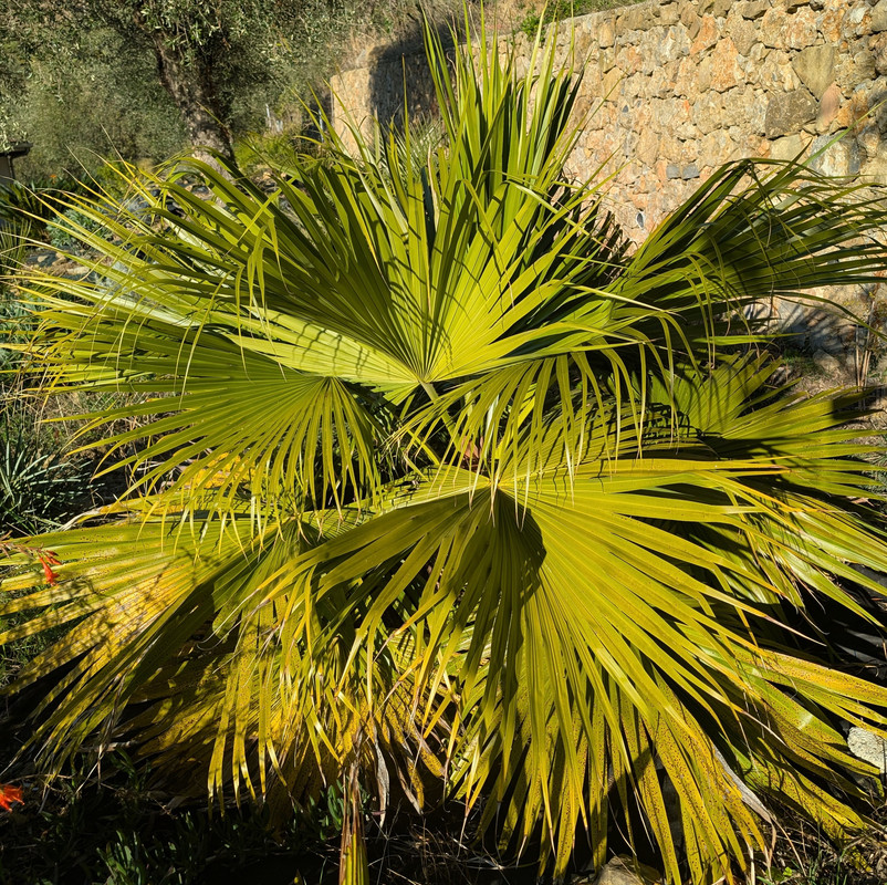 PXL 20251103 142902714 2