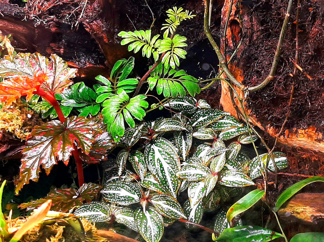 WhatsApp Image 2024-02-27 at 12.15.19 (2)