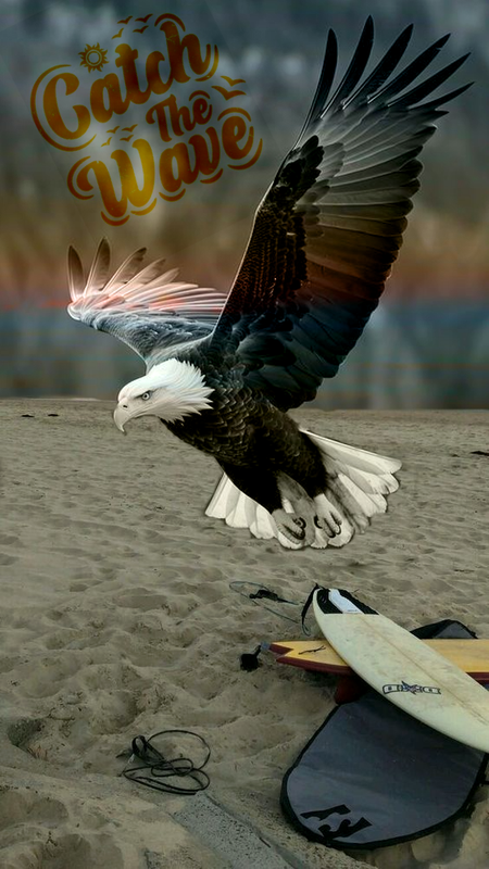 https://i.postimg.cc/NG3dmPmY/41f970fc6c3b95f74ee22f7cd9a9d455.png