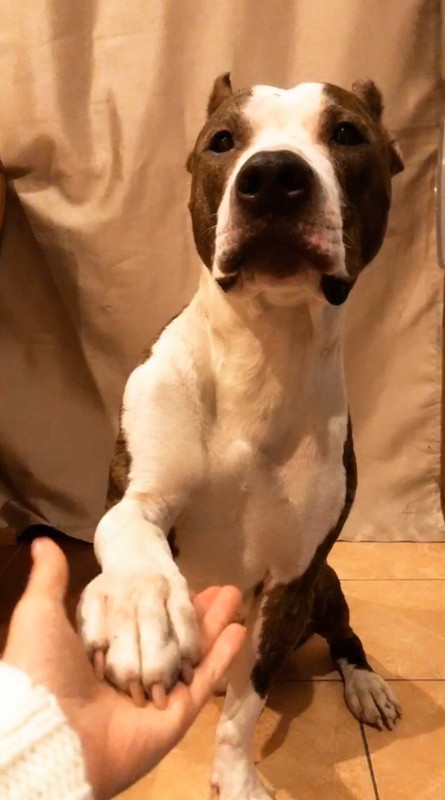 81FDE077-FB1D-40BC-AA68-1BDF71238C8A