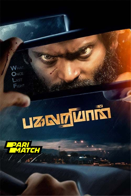 Pagalariyaan 2024.1080p.CAMRip.HINDI.HQ.DUB.PariMatch