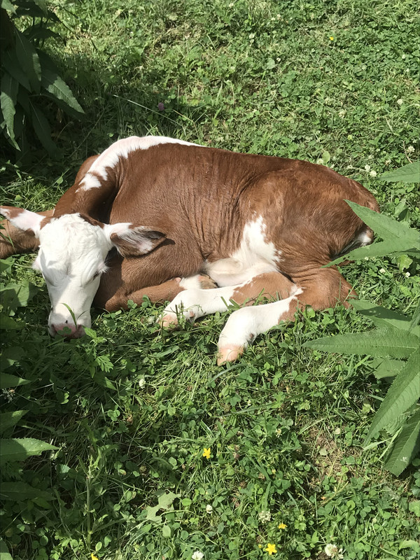 A1364AA4-67D2-4D71-AB60-394DEB459C38