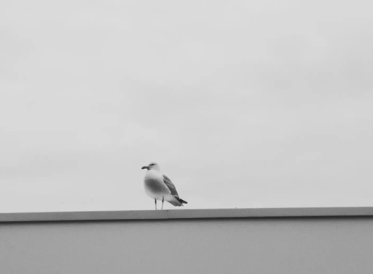 Capture d’écran 2024-07-11 231055