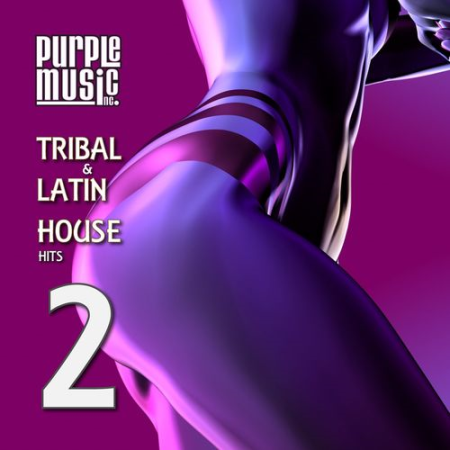 VA - Latin & Tribal House Hits 2 (2021) FLAC/MP3