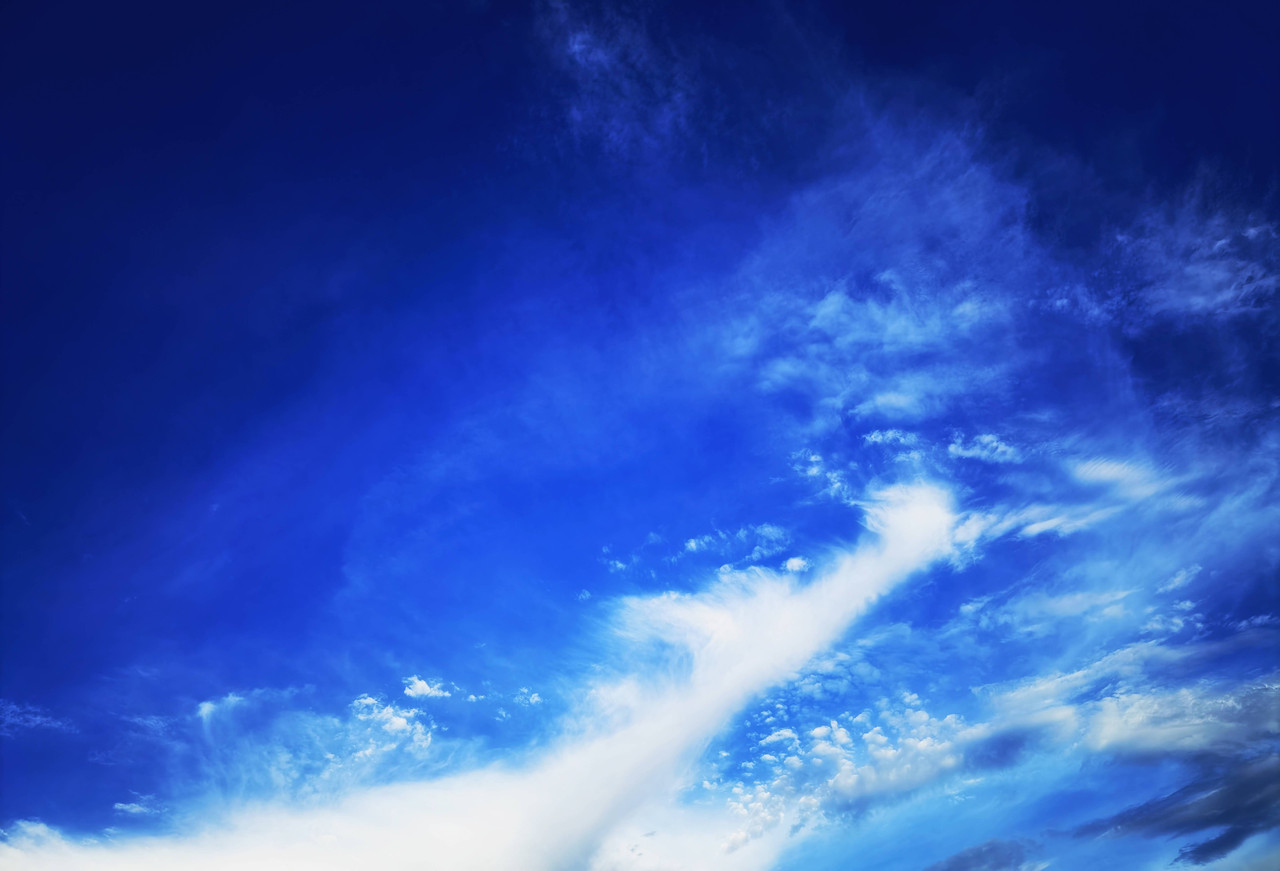 light (15)