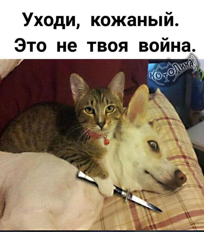 6262bdd389cbb732263c1ede354769dc.jpg