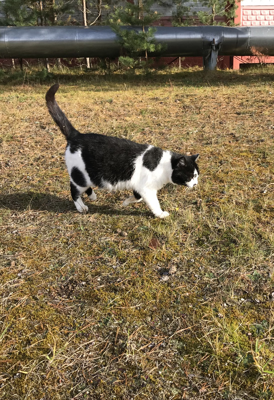 9817B68B-4CB6-4A24-BB3C-D3FABECC36D4