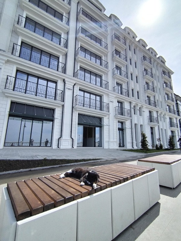 IMG_20230512_101634_edit_26706228302988