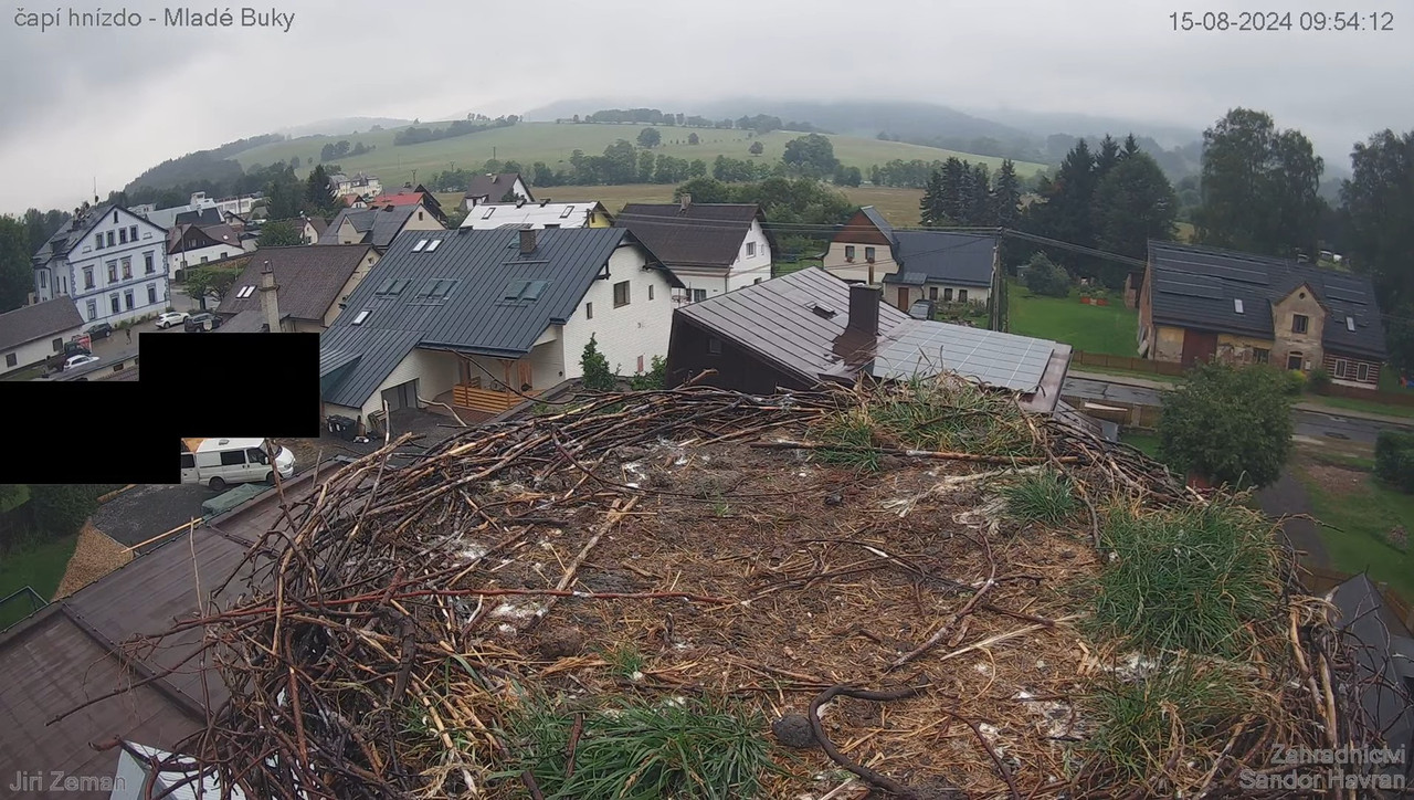 Tiešraides kamera — Mladé Buky — stārķa ligzda 10-51-58 screenshot