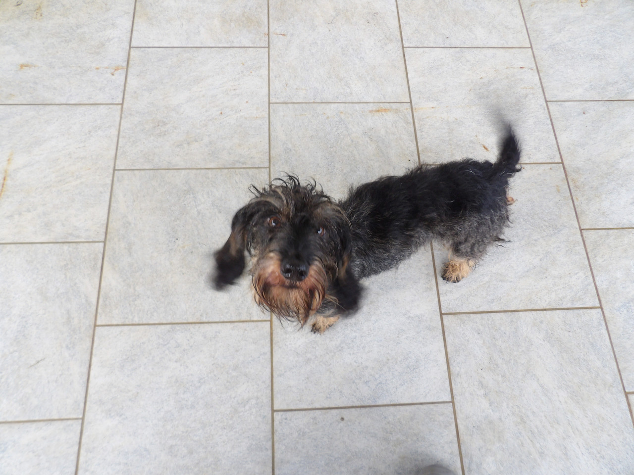 [Image: 125-0366.jpg]