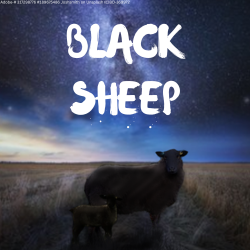 BLACK-SHEEP.png