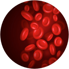 PotentAntioxidant