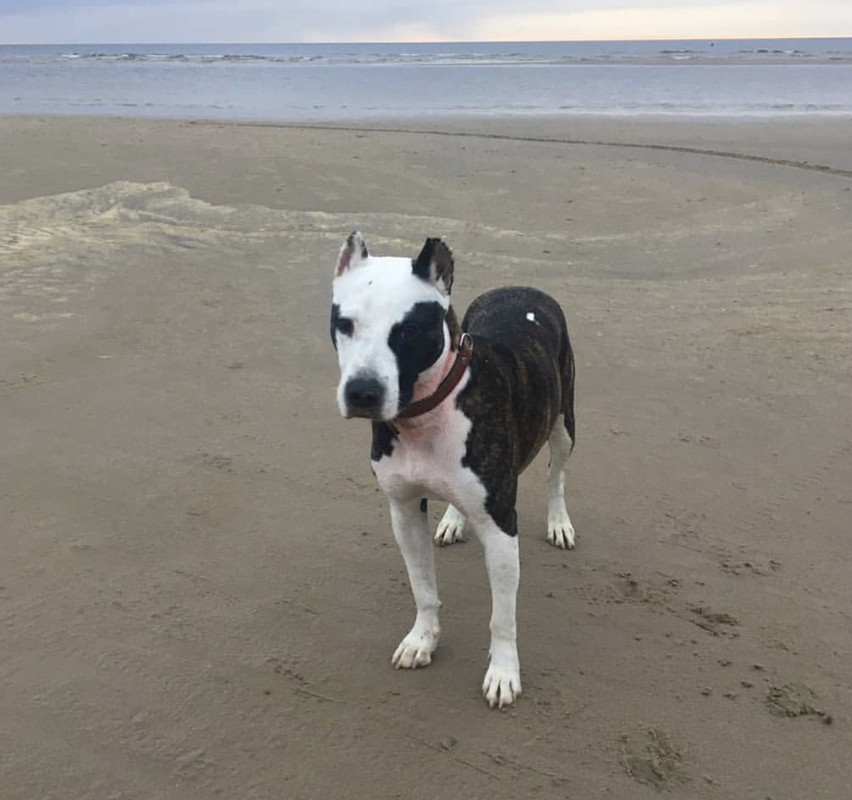 D4652869-0A5F-43EE-97CD-834237D8BFEE