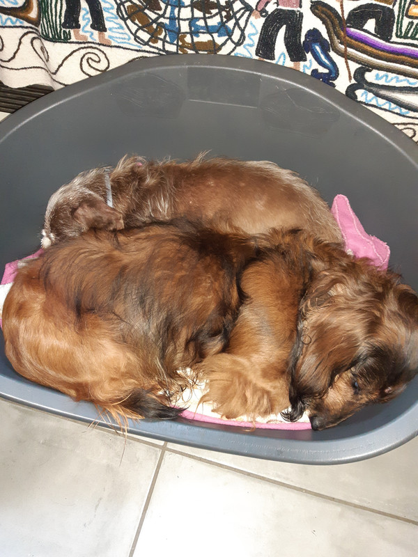 [Image: 20210627-073901.jpg]