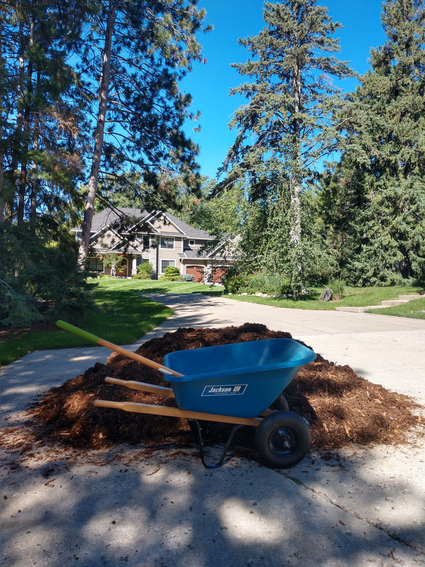 mulch