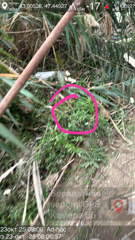 0bbe652a-aa80-4d12-9ed2-916c8ff27c0a