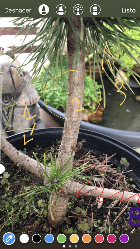 EB23DCC5-1085-414C-97CF-29FA7675DF91