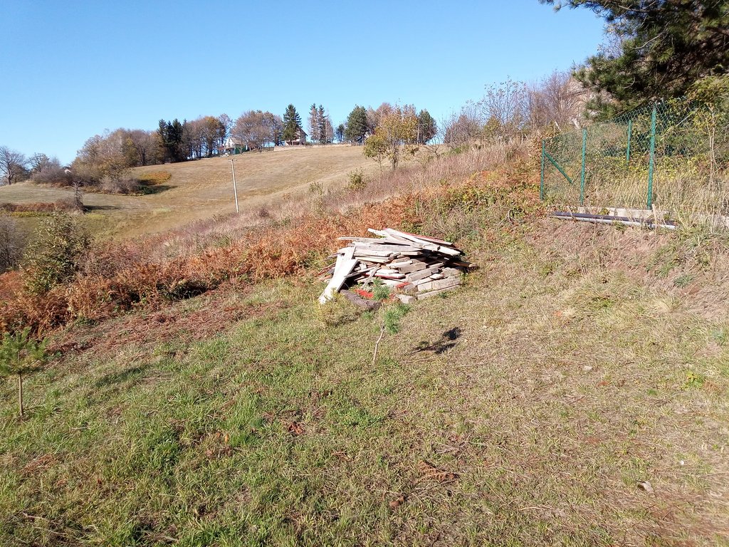 IMG-20231109-123648-029.jpg