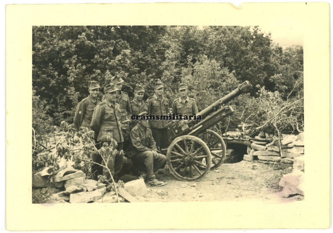 Orig. Foto Gebirgsjäger mit Gebirgshaubitze Geschütz in Karpathen Rumänien 1944 (3)