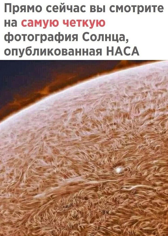 [Изображение: 1f4c296656b7e2277843cc53724af8e2.jpg]