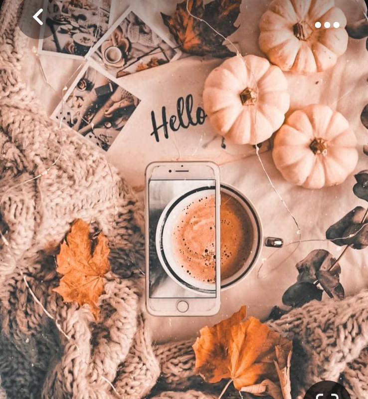 Screenshot_20231008_224259_Pinterest