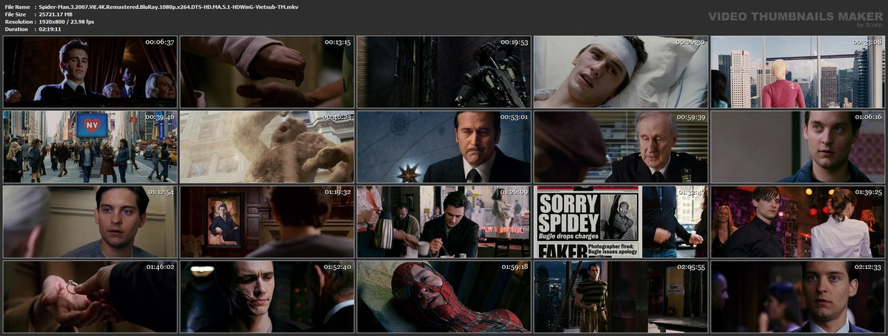 Spider-Man-3-2007-Vi-E-4-K-Remastered-Blu-Ray-1080p-x264-DTS-HD-MA-5-1-HDWin-G-Vietsub-TM-mkv.jpg