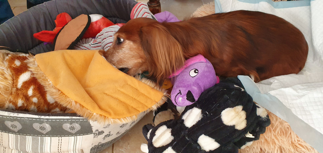 [Image: 20230118-113812.jpg]