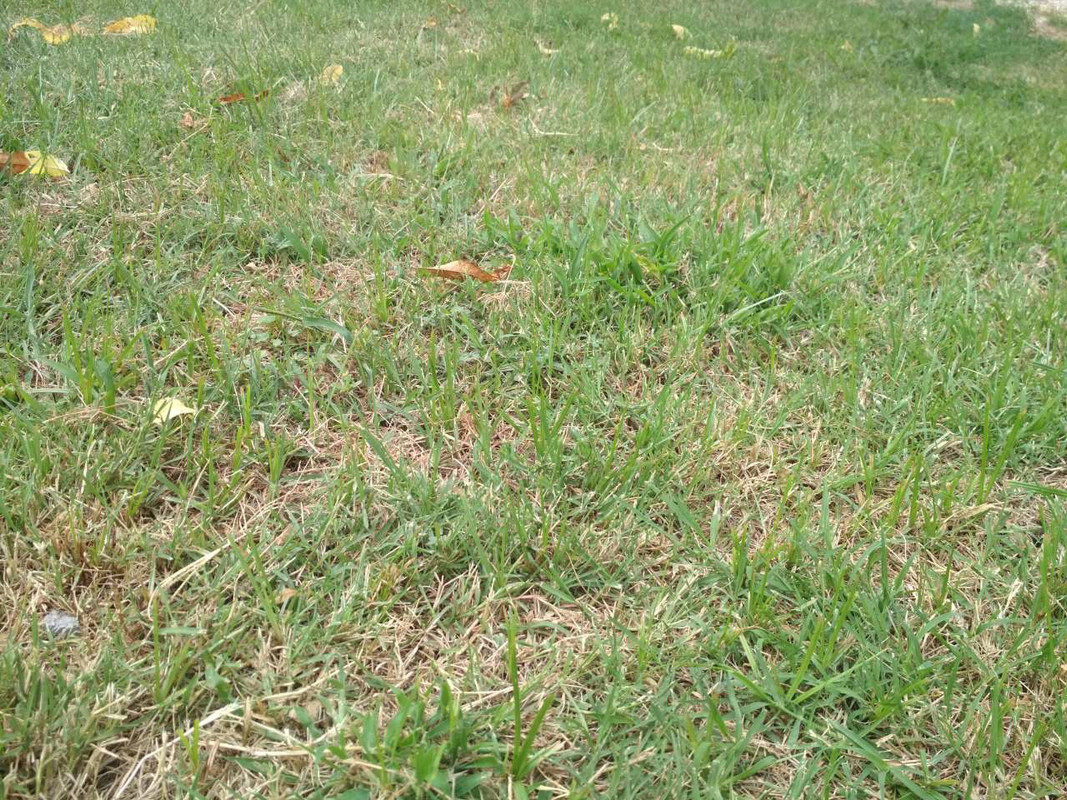 4D84E60B-C4E2-4E56-A63C-F00DD8F4CBC1