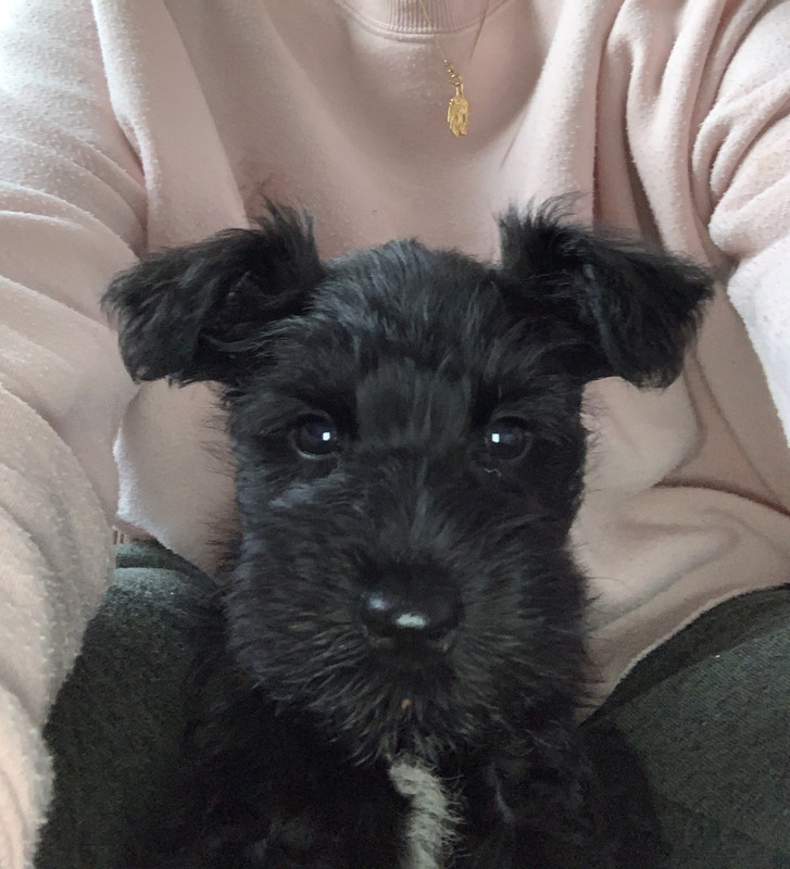 D8D69C57-CD65-4ED4-8D98-9DD25E8D0BF9_1_201_a