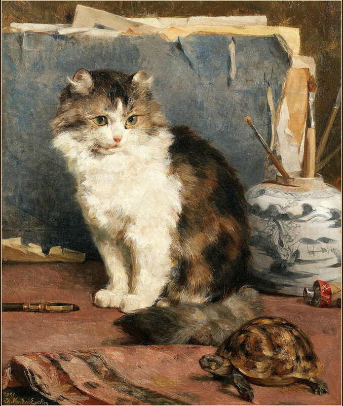 11