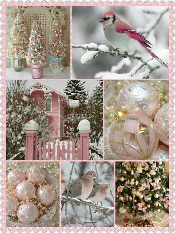 b286d88ec8d95dcc33fe9c1ed7b6d5b3