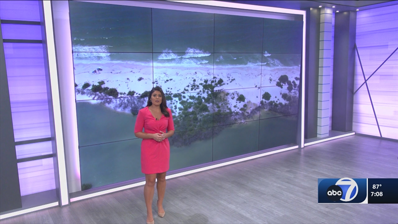 09.18 - 00.00.00 - ABC7 7O'Clock News  ᴺᵉʷ..ts_snapshot_10.43.487
