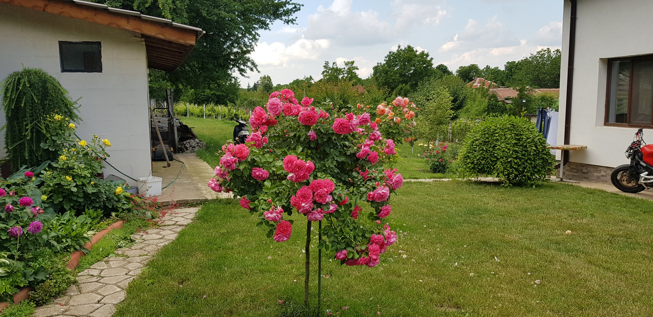 20180519_142919