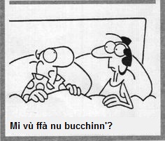 Immagine